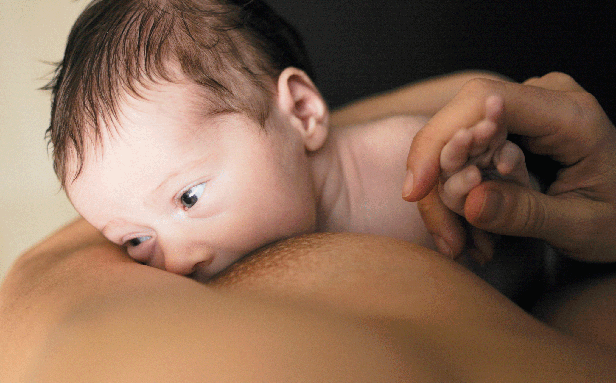 bebe en primera toma de lactancia